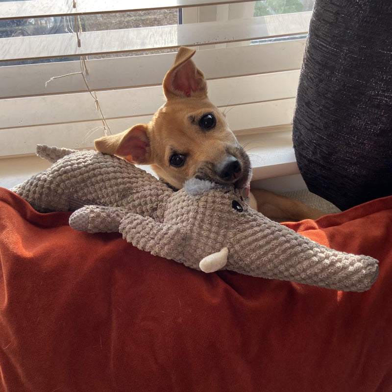 "Duurzaam hondenkauwspeelgoed voor sterke kauwers, handgemaakt van milieuvriendelijke jeans, geschikt voor alle honden."