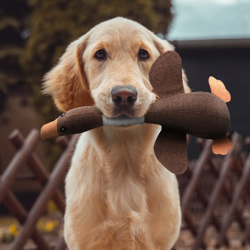 "Duurzaam hondenspeelgoed, stevig en milieuvriendelijk, geschikt voor elke hond. Ideaal voor kauwsessies en tandverzorging."