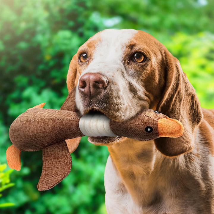 "Duurzaam hondenspeelgoed, stevig en milieuvriendelijk, geschikt voor elke hond. Ideaal voor kauwsessies en tandverzorging."