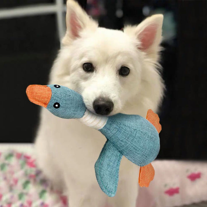 "Duurzaam hondenspeelgoed, stevig en milieuvriendelijk, geschikt voor elke hond. Ideaal voor kauwsessies en tandverzorging."