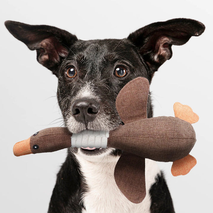 "Duurzaam hondenspeelgoed, stevig en milieuvriendelijk, geschikt voor elke hond. Ideaal voor kauwsessies en tandverzorging."