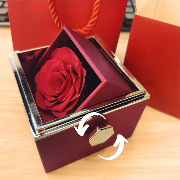 "Eeuwige rozen doos met gouden hartprojectieketting, betoverend en elegant sieraad voor betekenisvolle herinneringen."