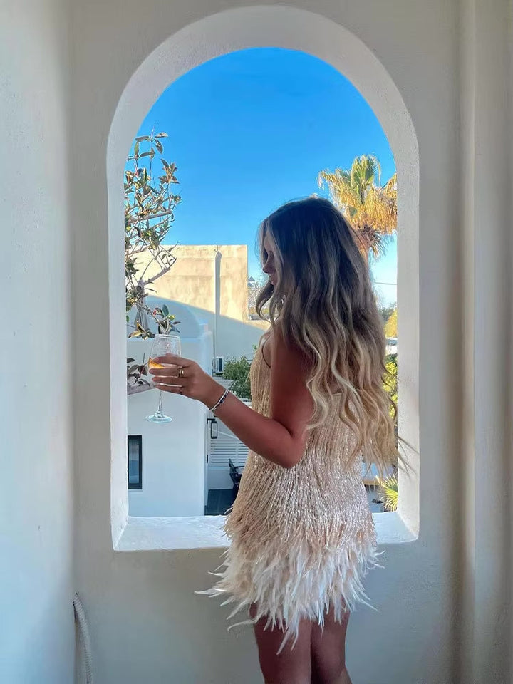 "Élora mini-jurk met luxe veren, elegant design, flatterende pasvorm voor feestjes en gala's, past perfect bij elke gelegenhe
