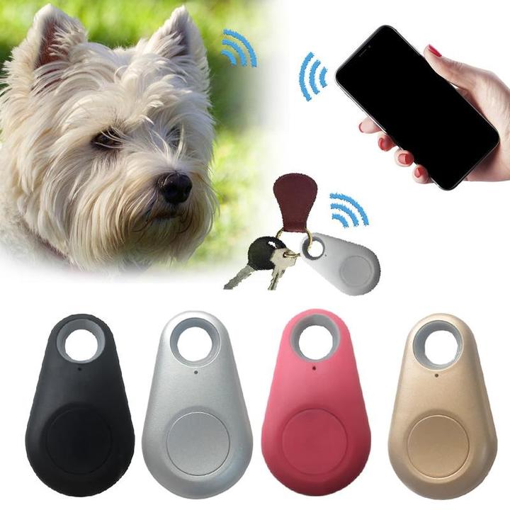 "GPS tracker voor huisdieren, compact en waterdicht, bevestigd aan halsband. Ideaal voor binnen- en buitenavonturen."
