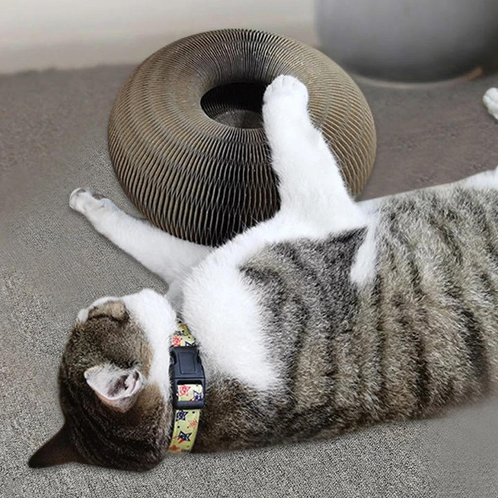 "Kleurrijke speeltunnel voor katten, gemaakt van duurzaam materiaal, stimuleert activiteit en nieuwsgierigheid."