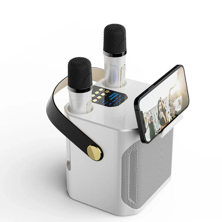 "Krachtige draagbare Bluetooth karaoke speaker met 360° surround, compacte boombox, dubbele microfoons, diep basgeluid."