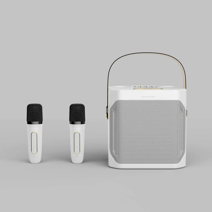 "Krachtige draagbare Bluetooth karaoke speaker met 360° surround, compacte boombox, dubbele microfoons, diep basgeluid."