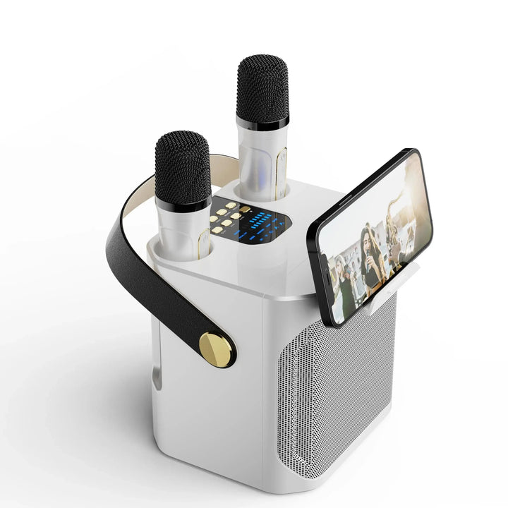 "Krachtige draagbare Bluetooth karaoke speaker met 360° surround, compacte boombox, dubbele microfoons, diep basgeluid."