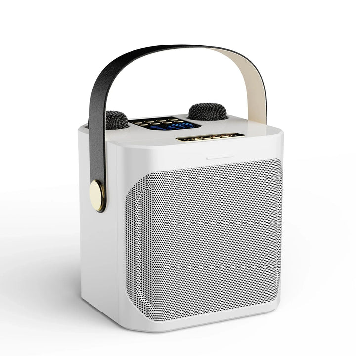 "Krachtige draagbare Bluetooth karaoke speaker met 360° surround, compacte boombox, dubbele microfoons, diep basgeluid."