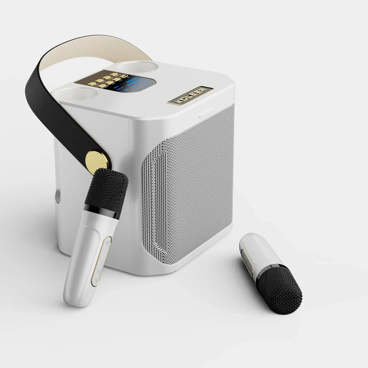 "Krachtige draagbare Bluetooth karaoke speaker met 360° surround, compacte boombox, dubbele microfoons, diep basgeluid."