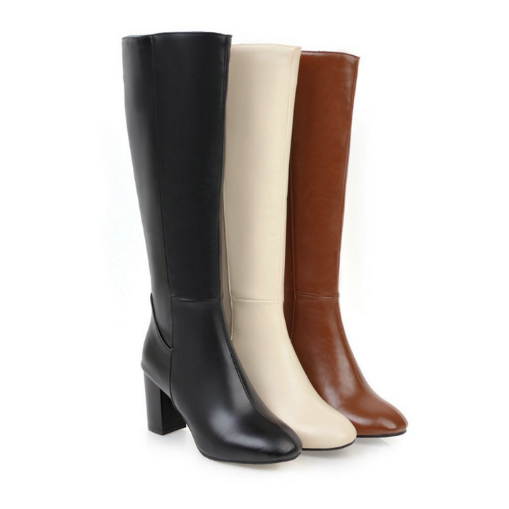 "Mila ritslaarzen voor dames, elegante hoge laarzen met ritssluiting en stabiele hak, verkrijgbaar in beige, bruin, zwart."