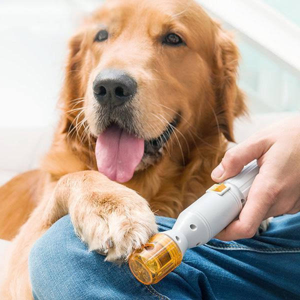 "Pijnloze nageltrimmer voor huisdieren met ergonomische grip en veiligheidsstop voor nauwkeurig en veilig knippen."